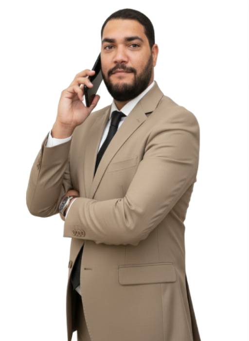 محمود السيد